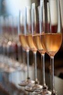 Bubbelproeverij in Dordrecht